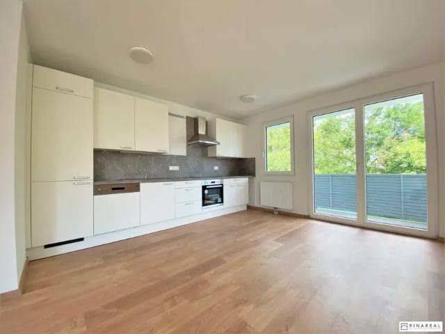 Wohnung Wiener Neustadt Wiener Neustadt 103148876