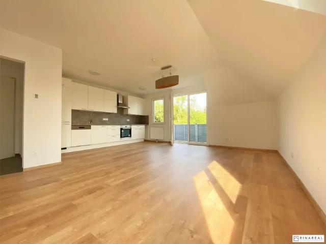 Wohnung Wiener Neustadt Wiener Neustadt 103148881