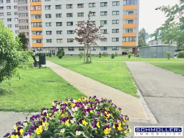 Wohnung Zu Vermieten Wels Wels 630 ES104140294