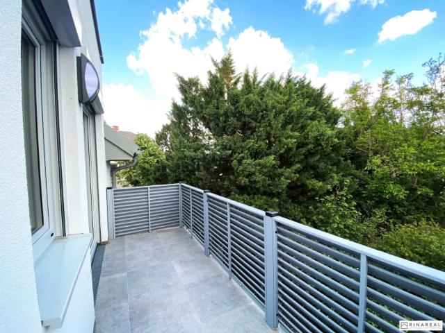 Wohnung Zu Vermieten Wiener Neustadt Wiener Neustadt 1 ES103148874