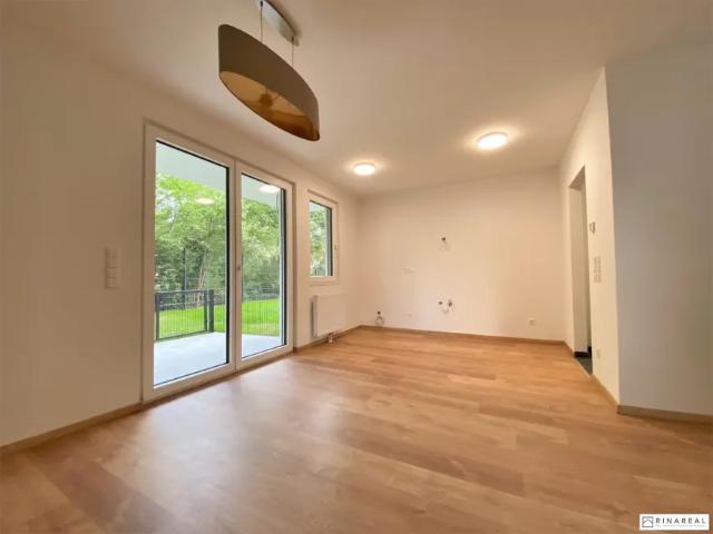 Wohnung Zu Vermieten Wiener Neustadt Wiener Neustadt 1 ES103148885