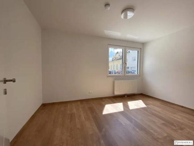 Wohnung Zu Vermieten Wiener Neustadt Wiener Neustadt 1 ES103148887