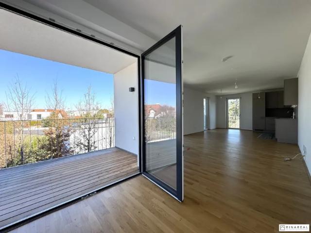 Wohnung Zu Vermieten Ebreichsdorf Ebreichsdorf 1 ES103148963