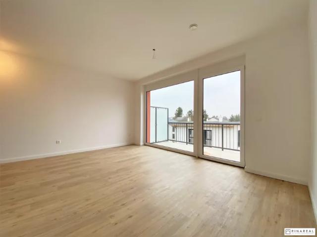 Wohnung Zu Vermieten Ebreichsdorf Ebreichsdorf 1 ES103149225
