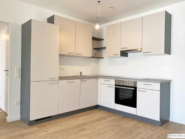 Wohnung Zu Vermieten Ebreichsdorf Ebreichsdorf 1 ES103149287