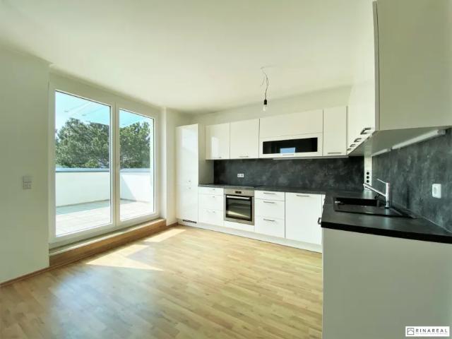 Wohnung Zu Vermieten Mödling Mödling 1 ES103149291