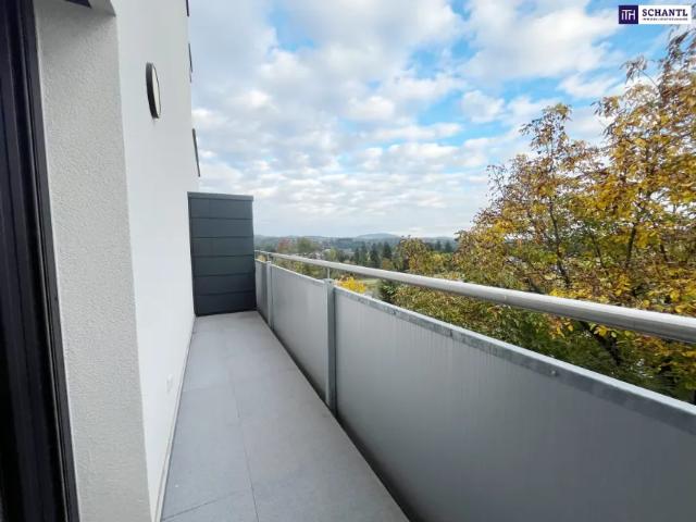 Wohnung Zu Vermieten Reiteregg Reiteregg 748 ES103150009