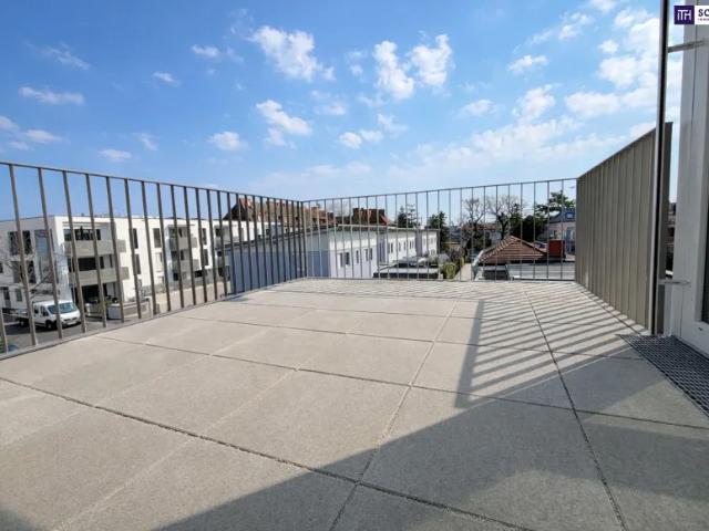 Wohnung Zu Vermieten Schwechat Schwechat 289206 ES103428879