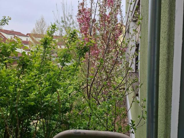 Wohnung zu verkaufen