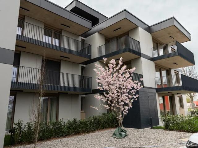 Wohnung Zu Verkaufen Achau Achau 670067 ES103150228