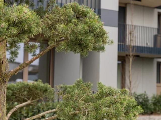 Wohnung Zu Verkaufen Achau Achau 800001 ES103150235