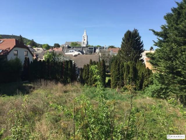 Wohnung Zu Verkaufen Bad Vöslau Bad Vöslau 1 ES103148817