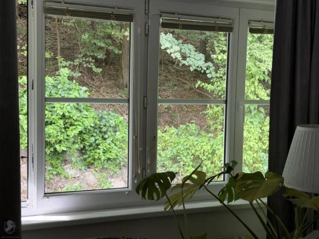 Wohnung Zu Verkaufen Kaltenleutgeben Kaltenleutgeben 309000 ES103844467
