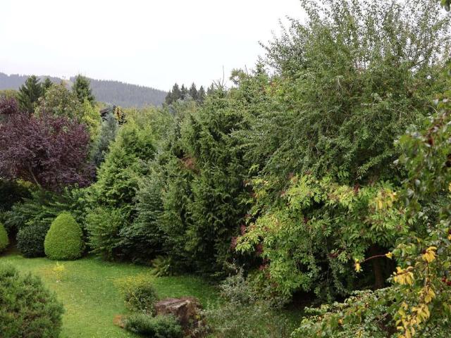 Wohnung zum Kaufen in Bad Kohlgrub 299.000,00 EUR 89.82 m²