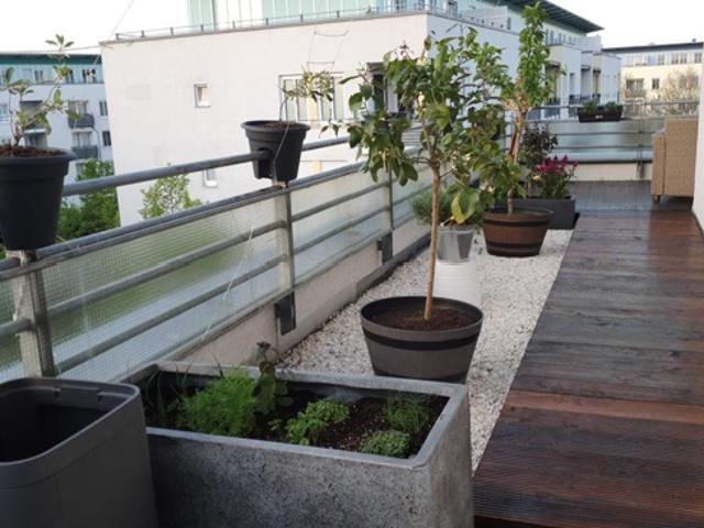 Wohnung zum Kaufen in Schönefeld 298.000,00 EUR 55 m²