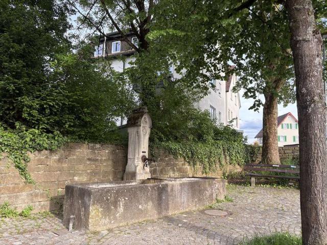 Wohnung zum Kaufen in Tübingen 449.000,00 EUR 99 m²