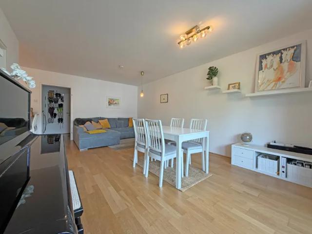 Wohnung 1 Schlafzimmer Zu Verkaufen Hallein Salzburg 375000 ES102896547
