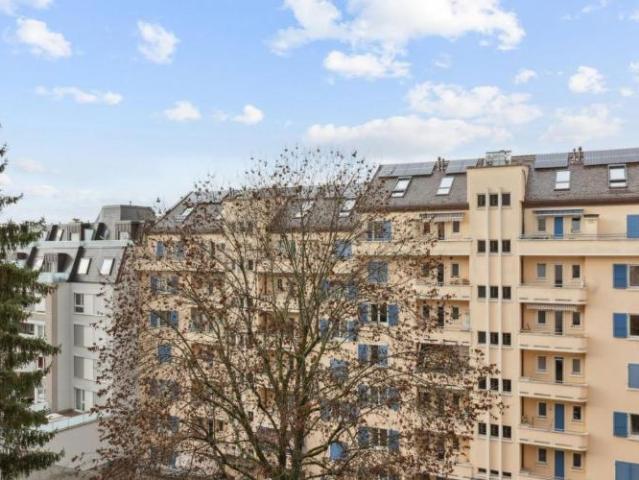Wohnung 2.5 Zimmer