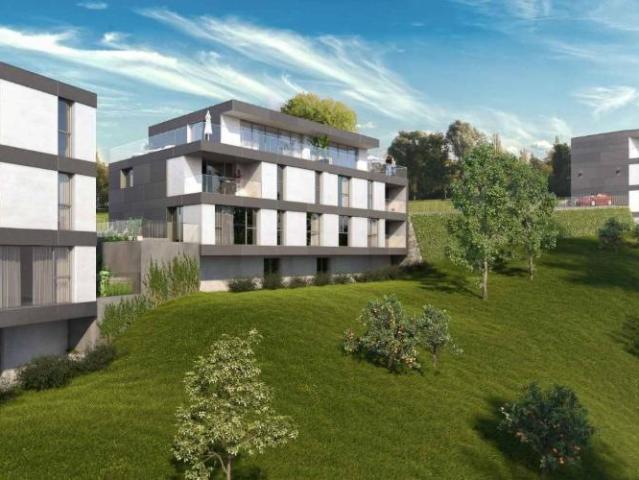 Wohnung 2.5 Zimmer