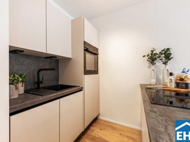 Wohnung 35 m2 Hinterbrühl