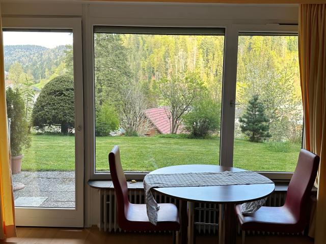 Wohnung 35 m2 Todtmoos