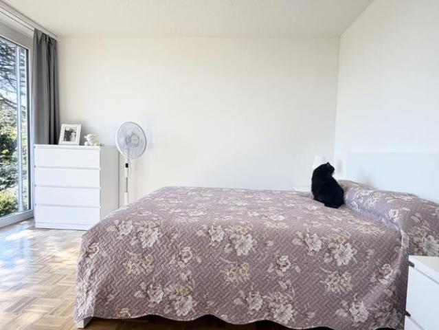 Wohnung 3.5 Zimmer