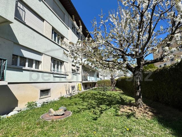 Wohnung 3,5 Zimmer