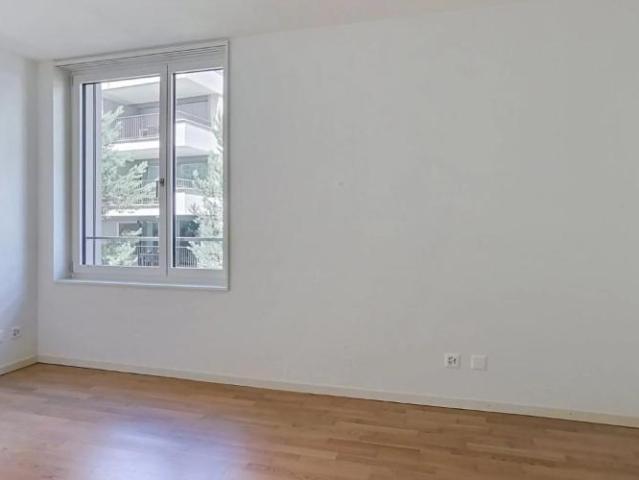 Blick auf den See und Balkon im Herzen von Montreux