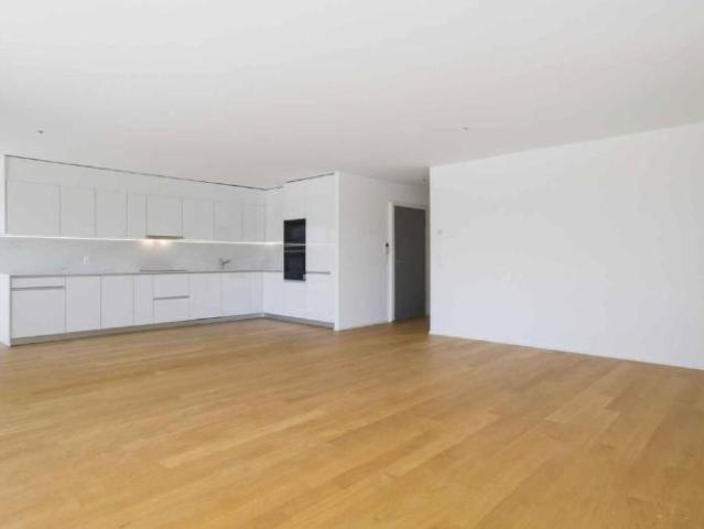 Wohnung 4.5 Zimmer