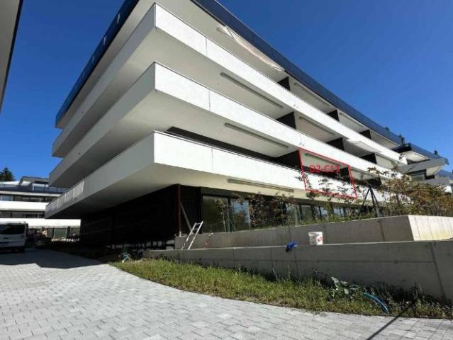 Wohnung 4.5 Zimmer