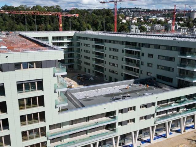 Wohnung 4.5 Zimmer