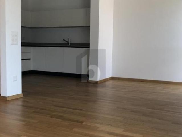 Wohnung 4.5 Zimmer