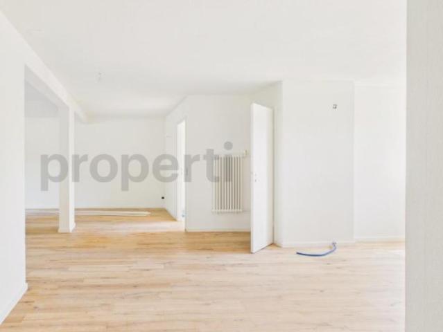 Wohnung 4.5 Zimmer