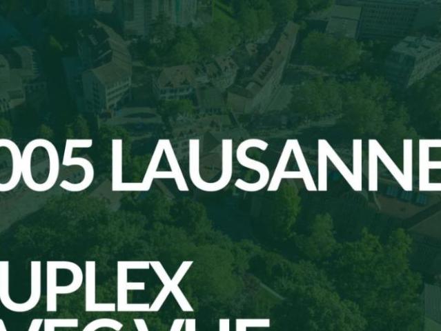 Wohnung 4.5 Zimmer