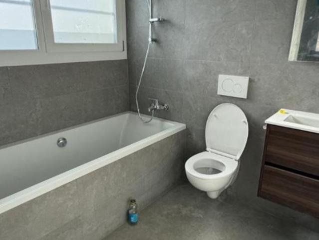 Wohnung 4.5 Zimmer
