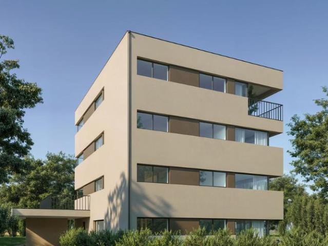 Wohnung 4.5 Zimmer
