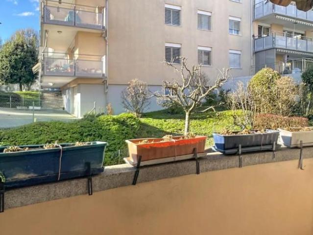 Wohnung 4 Zimmer