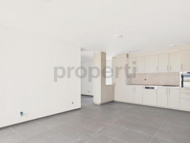 Wohnung 5.5 Zimmer