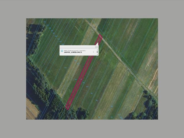 Działka rolna 1200 m2 w Wójcinie – atrakcyjna cena!