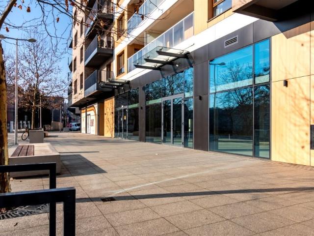 Księcia Witolda 138 m², Wrocław