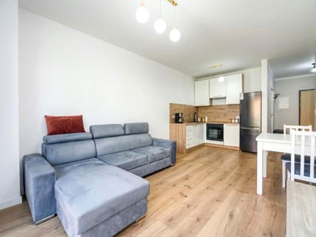 Wojciecha Korfantego 45 m², Siemianowice Śląskie