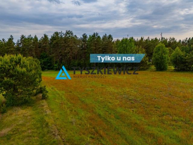Wojsk, 982 m2