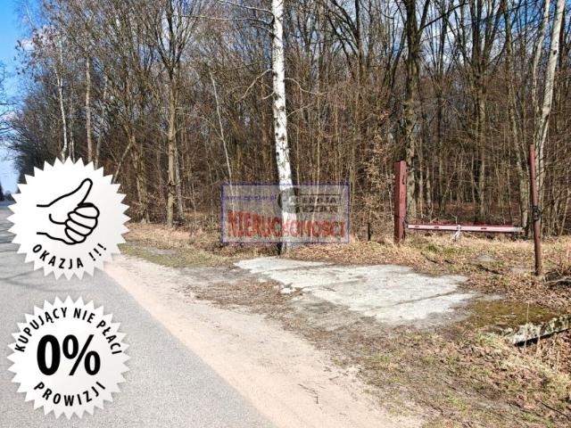 Wojska Polskiego 1 557 m², Anielew