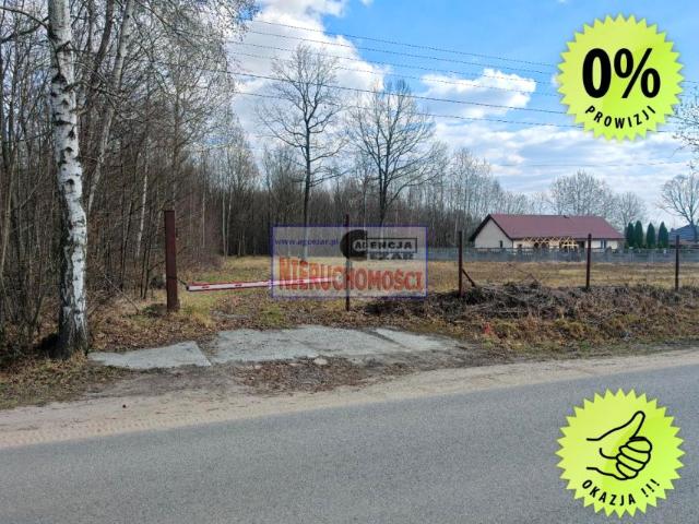 Wojska Polskiego 900 m², Anielew
