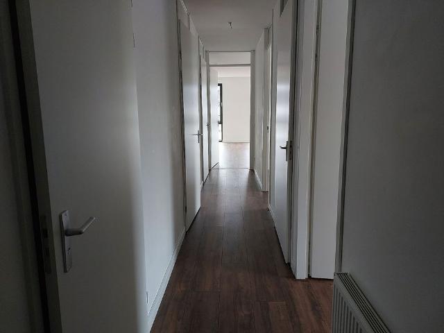 Wolweg 48