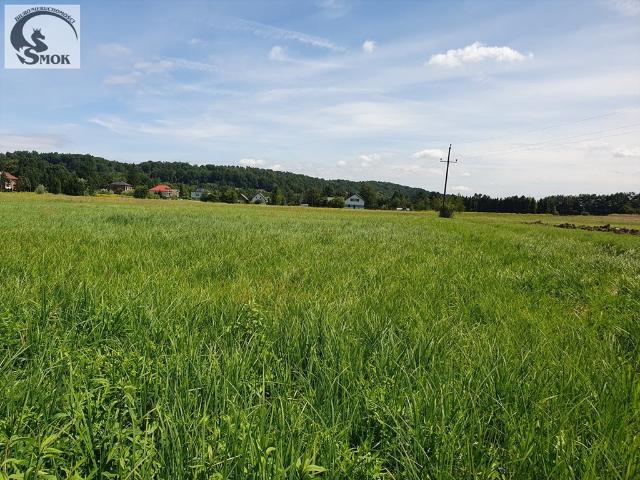 Wola Radziszowska, 2 400 m2