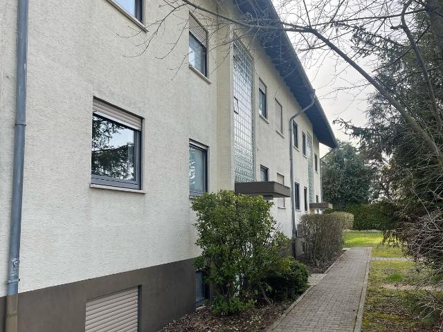 Wöllstein 1 Zimmerappartement mit Duschbad