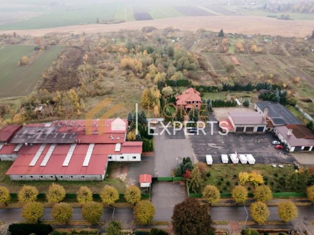 Wolności 15 266 m², Korsze