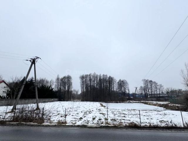 Wolności 3 599,90 m², Aleksandrów Łódzki