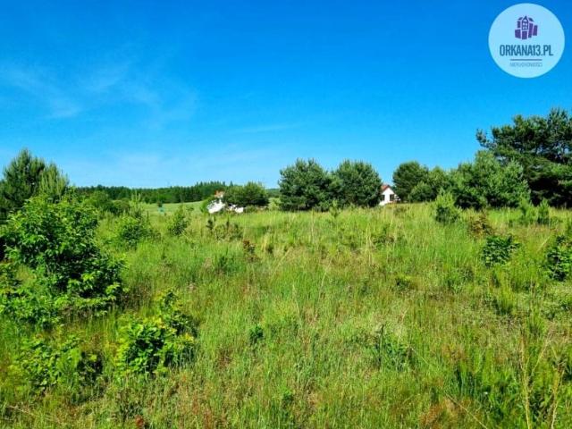 Woryty 5 204 m², Woryty